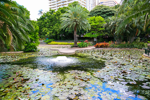 Water pond with fountain close to Brisbane city centre, Queensland, Australia.