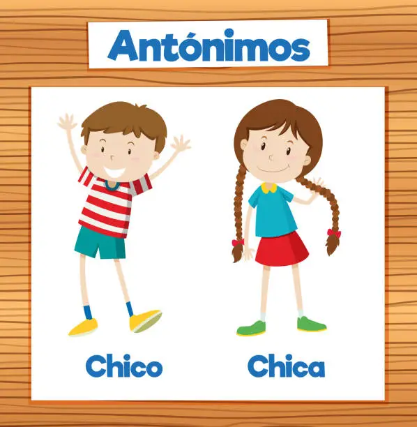 Vector illustration of Education Antonyms: Chico and Chica in Spanish Language
