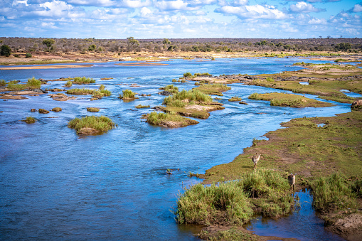 Savannah river in Kruger National Park, South Africa
