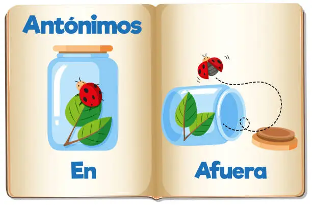 Vector illustration of Antonym Word Card: En and Afuera means in and out