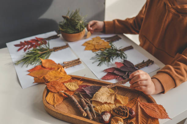 istock Children's creativity, child's study of natural materials 1796077218