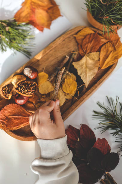 istock Children's creativity, child's study of natural materials 1796077222