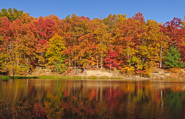 reflexos no outono calmo lago - strahl lake imagens e fotografias de stock