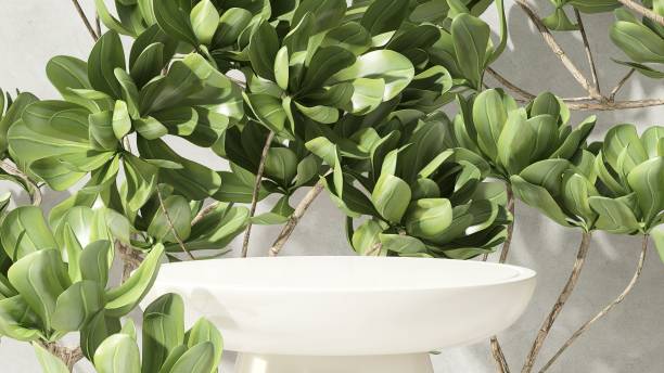 istock White round glossy podium table, tropical tree in sunlight on gray wall 1796100828