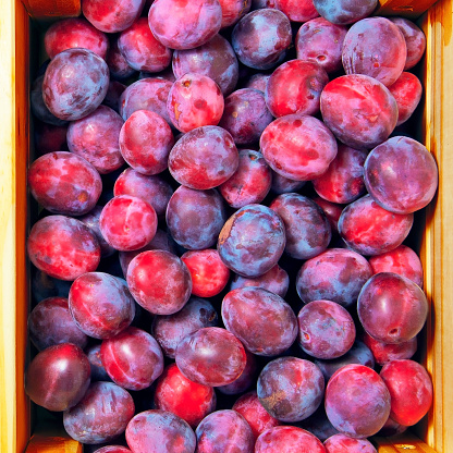Bunch of ripe plums in a box. View from above.