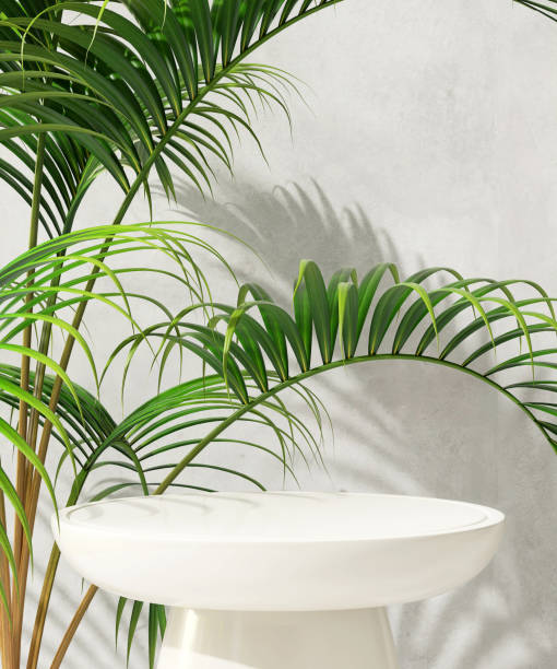 istock White round glossy podium table, tropical palm tree plant in sunlight on gray polished cement wall 1796140757