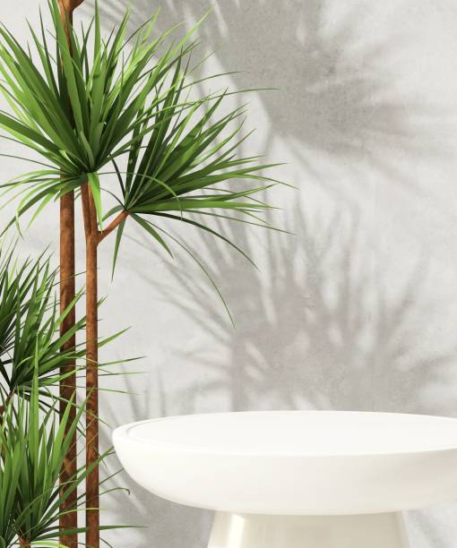istock White round glossy podium table, tropical dracaena tree in sunlight on gray polished cement wall 1796140760