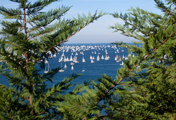 istock Barcolana 2010, The Trieste regatta 179614429