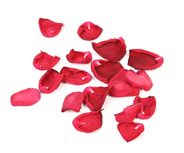 istock Rose petals isolated on white 179615298