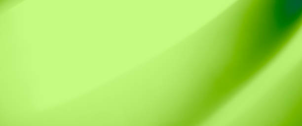 Green Background Leaf Abstract Plant Spring Organic Eco Light Grass Environmental Fresh Elegant Texture Gradient Mockup Overlay Nature Wall Luxury Premium Energy Wave Pattern Floor 3d Bg Line Modern.