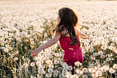 Joyful kid in summer jumpsuit walking in field full of white dandelions, keeping arms over blowballs and having fun.