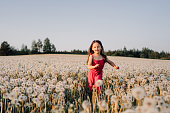Energetic kid running in field full of white dandelions. Happy girl enjoying nature at sunset in meadow of blowballs.
