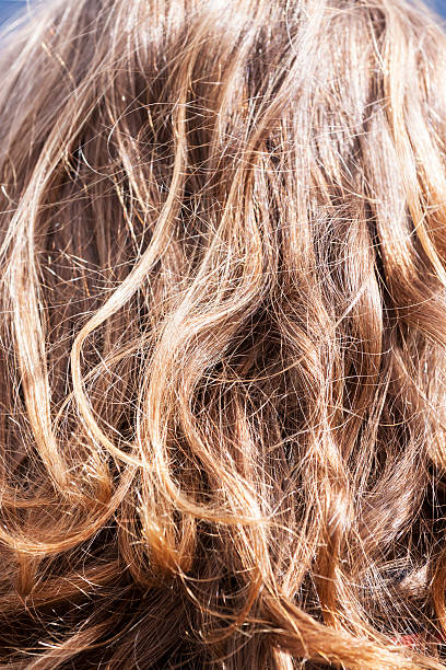 istock Rear view of dark blond curly long hair 179624383