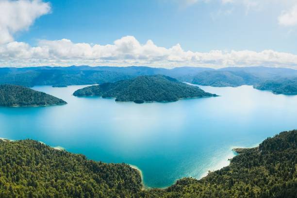 scenic landscape a mountain along lake waikaremoana great walk in new zealand. - new zealand forest landscape mountain imagens e fotografias de stock