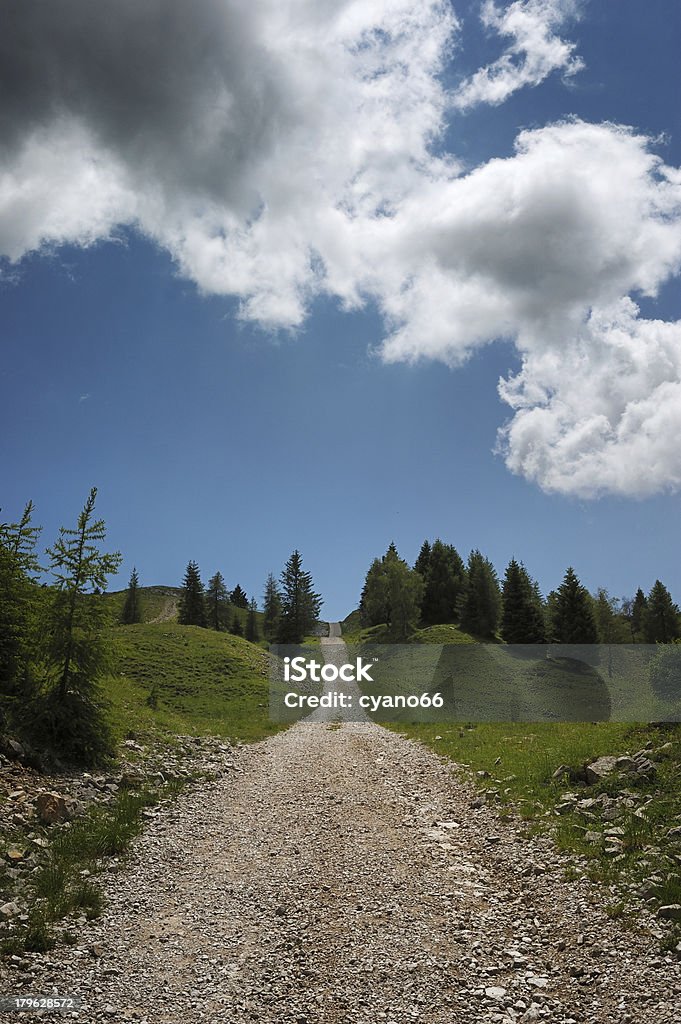 Verso l'alto - Foto stock royalty-free di Alpi