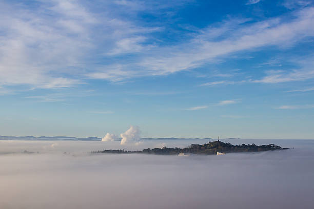One tree hill above the fog, early morning in Auckland, New Zealand