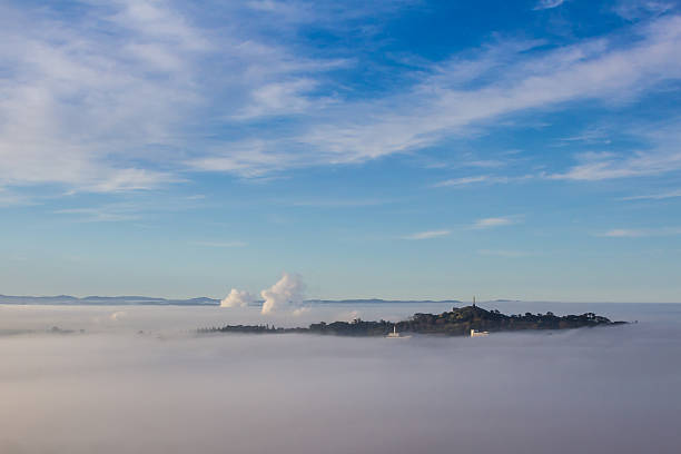 One tree hill above the fog stock photo