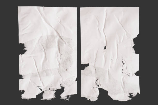 Paper Mockup Isolated Background