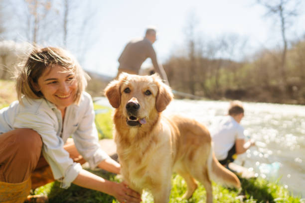 istock Hanging out with my human family 1796319058