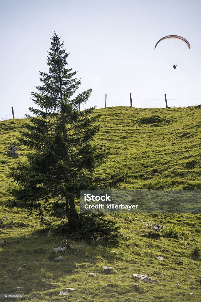 Paraglider latać przez Alpy Bawarskie - Zbiór zdjęć royalty-free (Alpy)