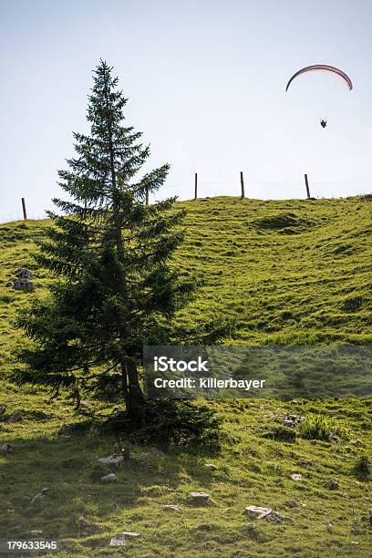 Paraglider Latać Przez Alpy Bawarskie - zdjęcia stockowe i więcej obrazów Alpy - Alpy, Alpy Bawarskie, Bawaria