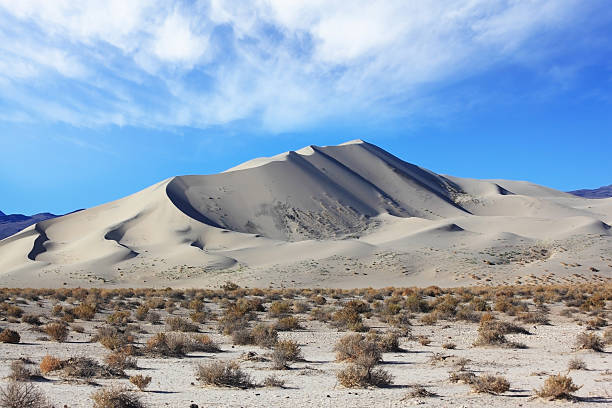 istock Early morning in the desert 179633593