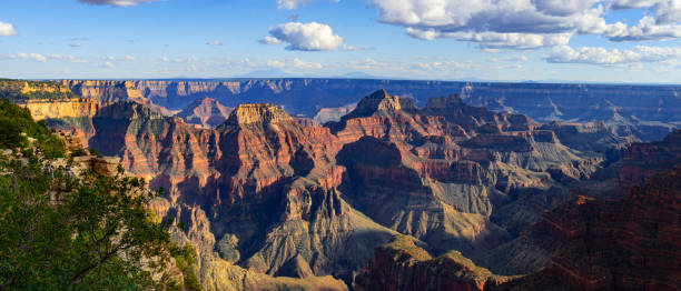 istock Grand Canyon North Rim 1796336373
