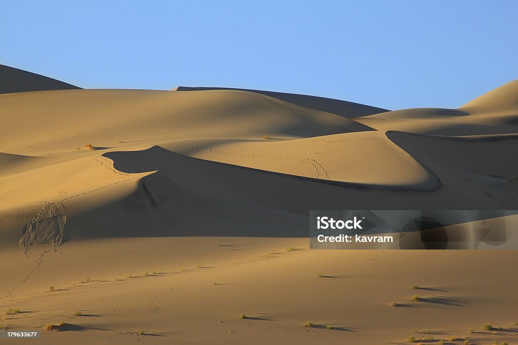 Le tracce degli animali sulla sabbia - Foto stock royalty-free di Ambientazione esterna