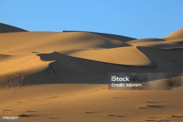 Foto de Os Traços De Animais Na Areia e mais fotos de stock de Areia - Areia, Arranjo, Badlands