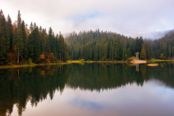 istock mountain lake among coniferous forest in autumn 1796341759