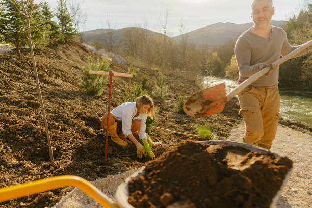 istock Gardening around our backyard 1796342297