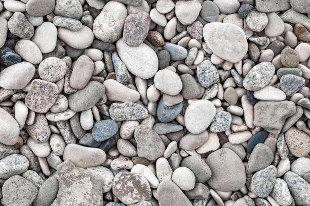 istock Pebbles, large oval beach sea stones, close-up, top view 1796352729