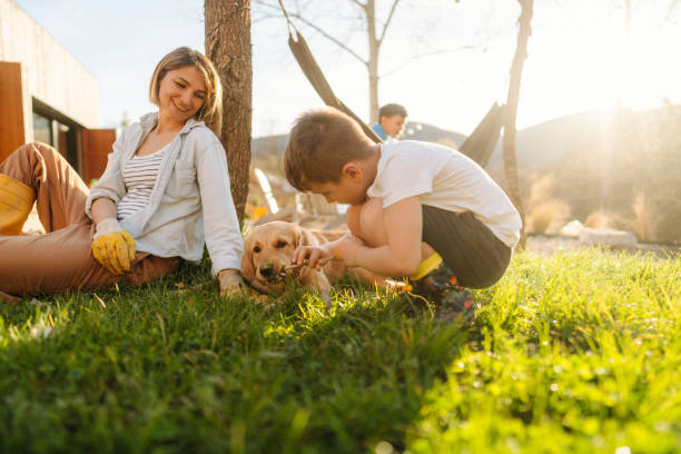istock Beautiful day to spend it outdoors! 1796360427