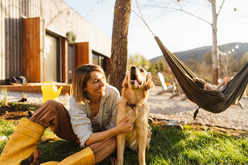 Photo of a cute furry dog, playing and snuggling with his human mom while spending beautiful sunny day outdoors in nature