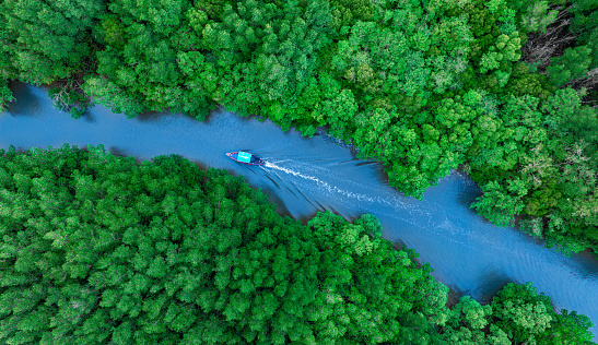 Aerial view of forest and river landscape. A rich natural ecosystem, rainforest, and boats sailing along the river.