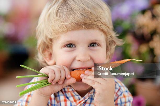 Healthy Eating Stock Photo - Download Image Now - Eating, Carrot, Child