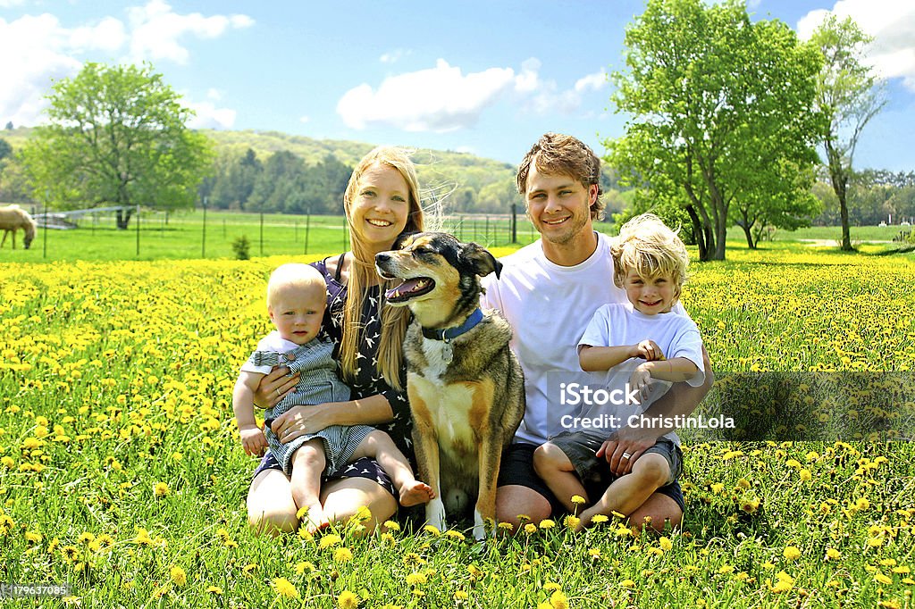 Família feliz sentado no campo de dente-de-Leão - Foto de stock de Família royalty-free
