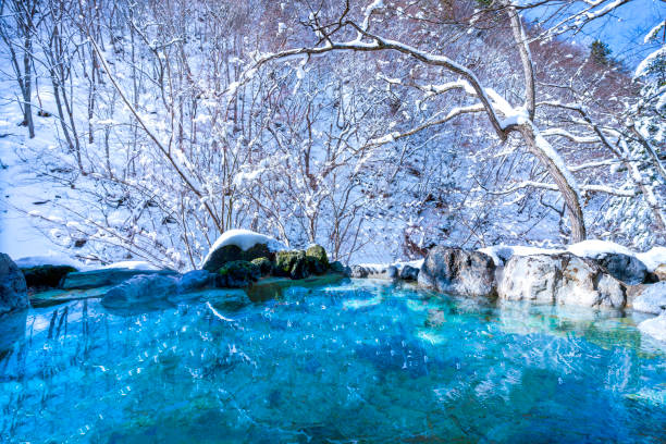 日本の温泉 温泉 天然風呂 山を背景にした雪が積もっています。日本の冬