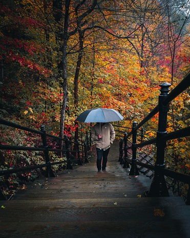 Montreal, Canada – October 16, 2021: A young adult ascending a set of forest stairs while carrying an umbrella