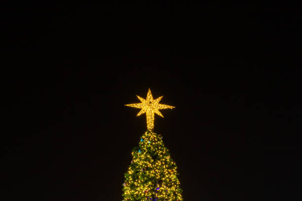 istock Decorating lights on the Christmas tree. 1796394173
