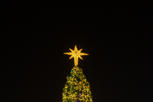 Lighting the Christmas tree with the yellow star on the top