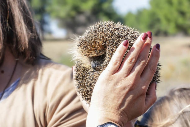 istock People and pets - D.Sciancalepore 1796399692