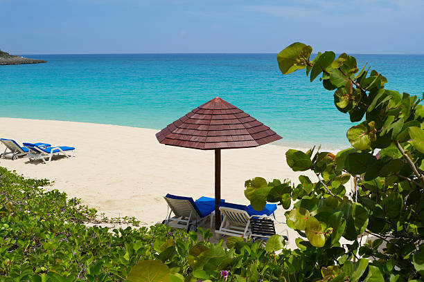 istock Beach scene with lounge chairs and parasol surrounded by plants 179641988