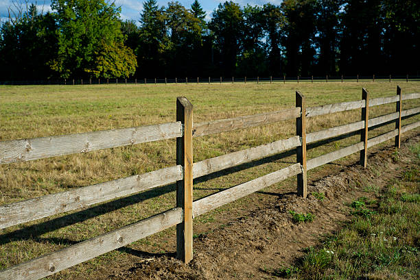 istock Wooden fence surrounds pasture 179642392