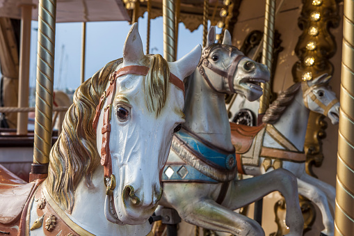 Vintage trendy merry-go-round or carousel. Horse head detail