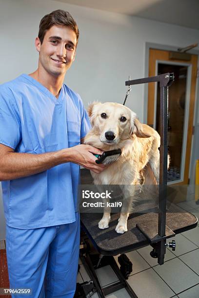 Pet Cuidador Foto de stock y más banco de imágenes de Adulto joven - Adulto joven, Felicidad, Peluquero de animales