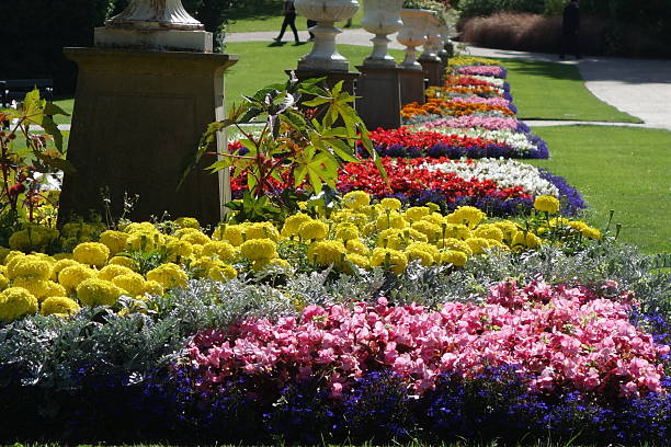 istock beautiful flower garden 179642637