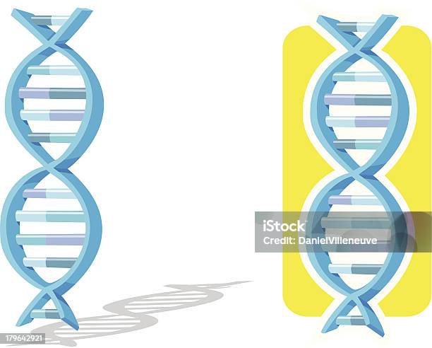 Hélice De Adn - Arte vetorial de stock e mais imagens de ADN - ADN, Adenina, Biologia