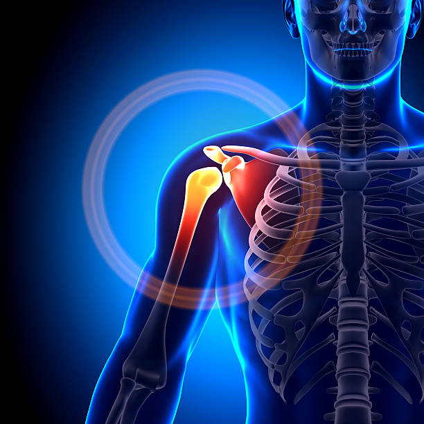 istock Animated image of a fractured shoulder scapula clavicle 179644572