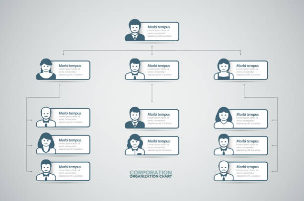 организационная диаграмма - organization chart stock illustrations